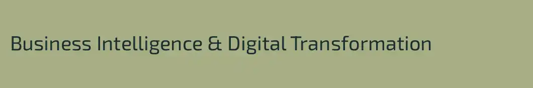 Business Intelligence & Digital Transformation